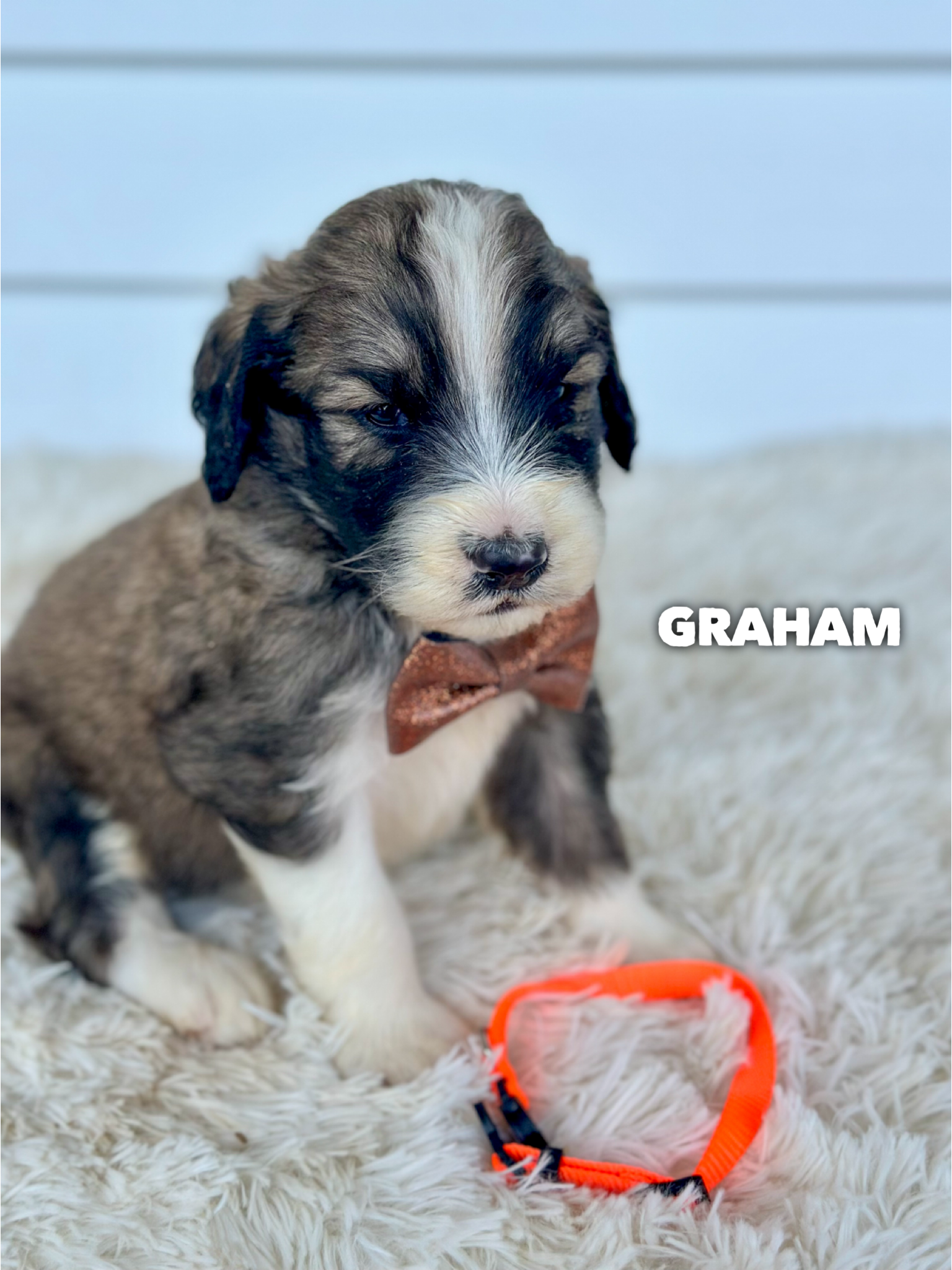 Graham 2